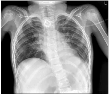 Fig.  4.  (A)  Medical  chart,  (B)  Doctorʼs  progress  notes.