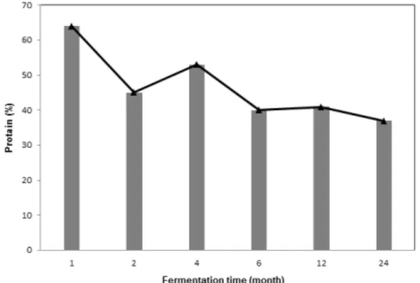 Fig 3. Effect of fermentation time on the particle shape.