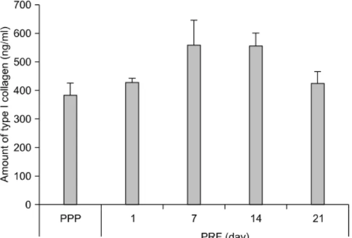 Fig.  2.  Osteoblast  viability.  There  was  a  significant  increase  in osteoblast proliferation when the culture medium contained  exu-dates of PRF collected on days 7, 14, and 21 compared to culture medium containing PPP (**p＜0.01 compared to PPP)