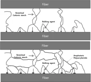 Fig. 8. Schematic illustration of strengthening onto stretched fiber to fiber interface by cross-linking between C-starch and amphoteric DSR
