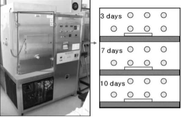 Fig. 3. SO 2  aging method of beeswaxed Hanji.