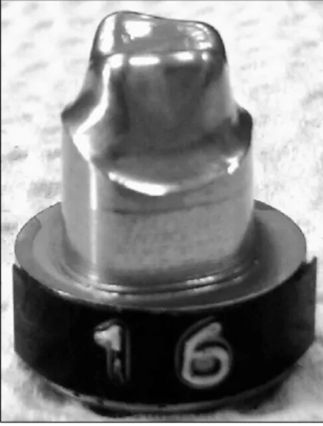 Fig.  1.  The  titanium  master  model.특히 변연 간격은 구강 내 시적된 고정성 보철물의 수명을 결정짓는 제1의 요소 중 하나이다1-3)