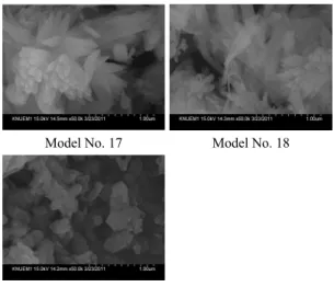 Fig. 6. SEM images of the controlled model of  PCC according to electrical conductivity at  relatively high concentration of Ca(OH) 2 