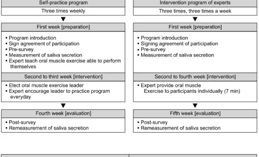 Fig.  1.  Program  process.