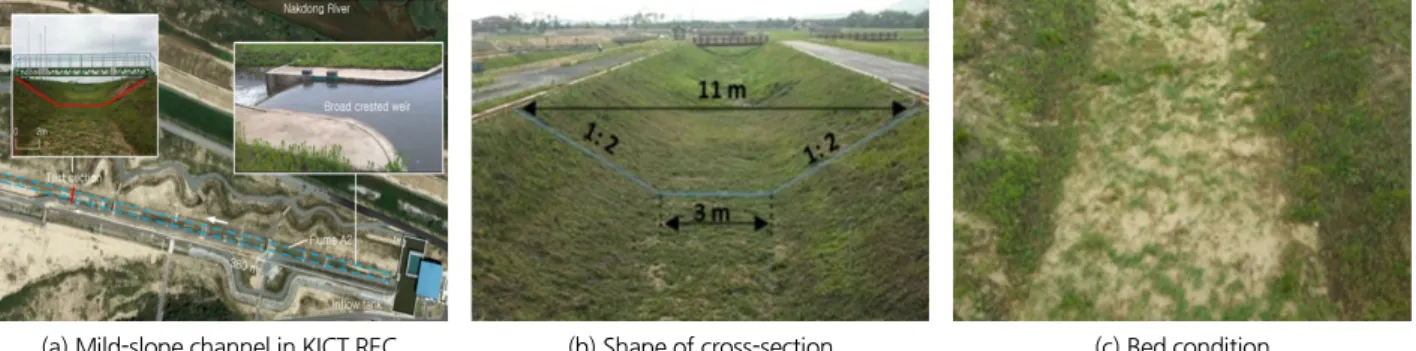 Fig. 3. Measurement verticals for ADCP and ADV in the test section, where circular dots indicate ADV measurement points