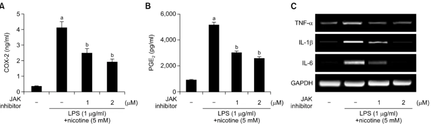 Fig. 3. Effects of janus kinase (JAK) inhibitor on expression of lipopolysaccharide (LPS) and nicotine-induced inflammatory mediators  in osteoblasts