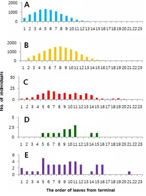 Fig. 2. Abundances of each stage of Phyllocnistis citrella
