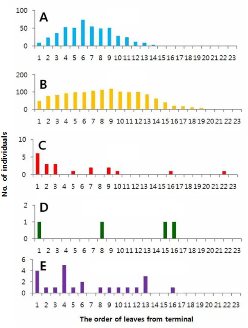Fig. 3. Abundances of each stage of Phyllocnistis citrella