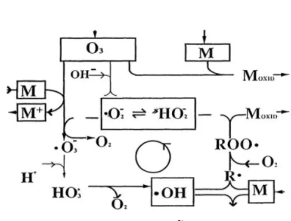 Fig. 1. Ozonation mechanism. 2) 오존자체보다 높은 전위차(3.08V)를 가지며 거의 모든  유기물과 매우 빠른 속도로 골고루 반응하는 특성이 있 다
