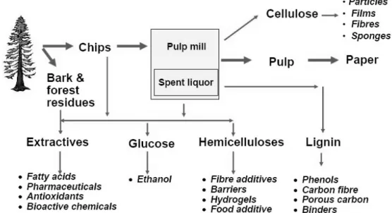 Fig. 2. Biorefinery in the pulp and paper industry. (Source: Biorefineries in pulp and paper sector,  IEA Implementing Agreement, April, 2007)
