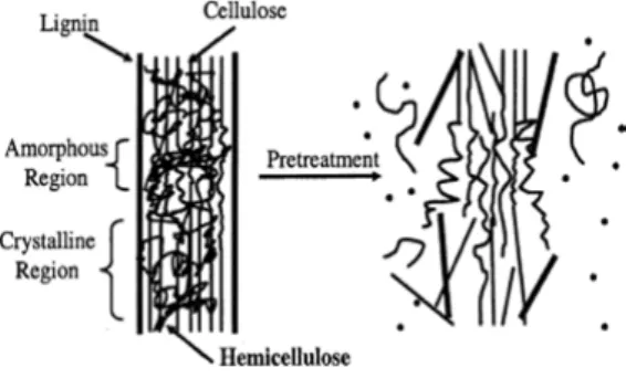 Fig. 3. Schematic of goals of pretreatment on  lignocellulosic material 17).