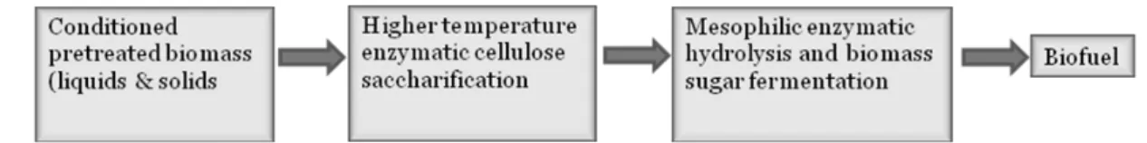 Fig. 2. Hybrid Hydrolysis and Fermentation (HHF).