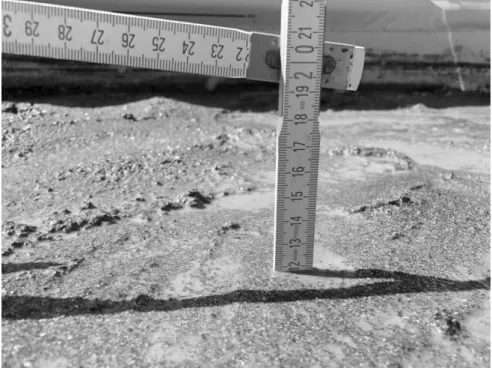 Figure 5. Depth of soil given to Emerged plants treatment 