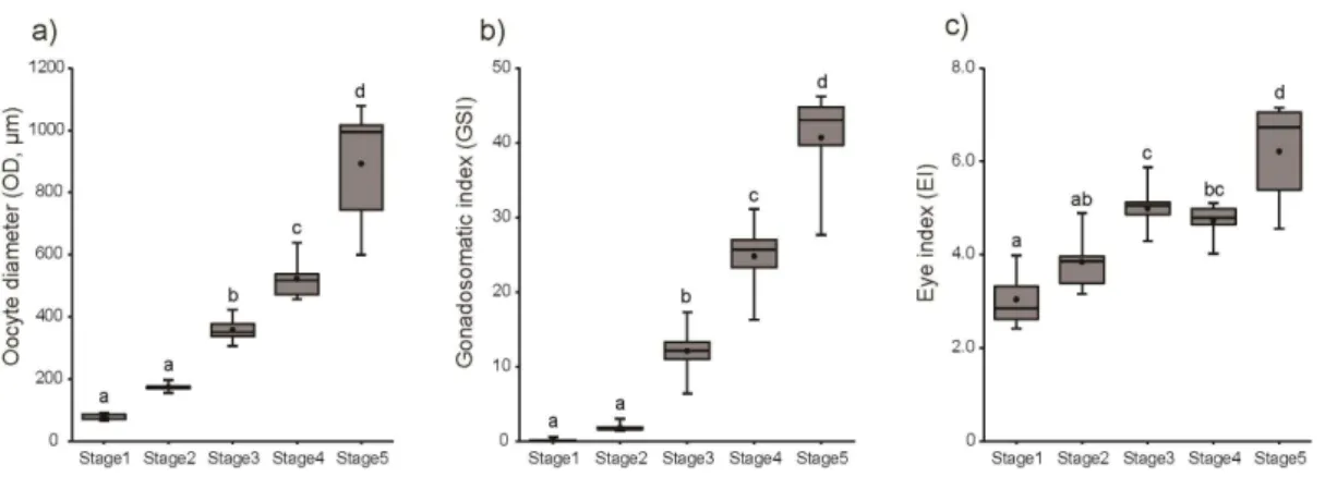 Figure  6.  Changes  in  morphometric  parameters,  (a)  GSI,  (b)  OD  and  (c)  EI,  in  female  eel  during  artificial  maturation