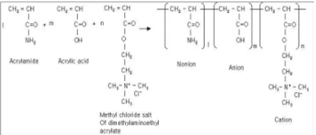 Fig. 1. Polymerization of amphoteric polyacrylamide.