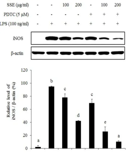 Figure  9.  Involvement  of  NF-κB  (p65)  signaling  on  LPS-induced  iNOS  expression