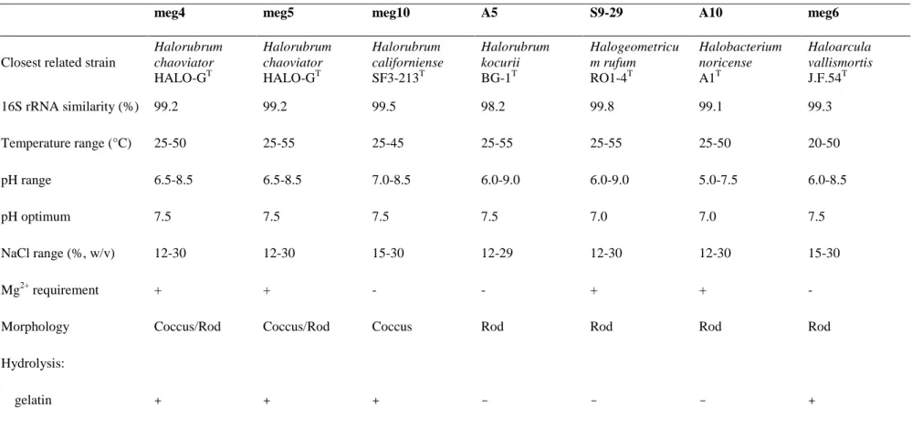 Table 1.  Physiological and biochemical characteristic of halophilic archaea.  All of the data is obtained from this study