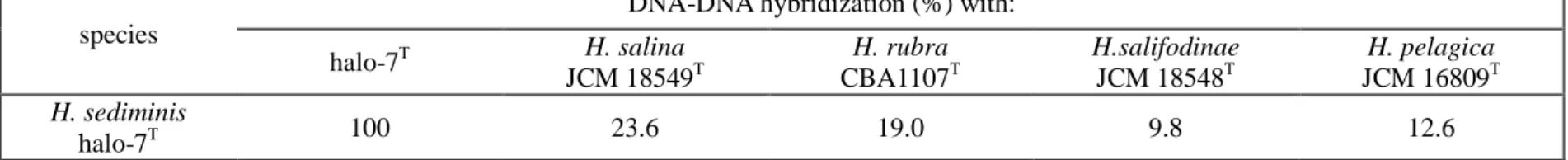 Table 3. DNA-DNA hybridization values for strain halo-7 T  and the reference species  species 