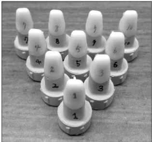Fig.  4.  Eight  sections  of  the  silicone  replica  (occlusal  view).