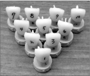 Fig.  6.  Ten  all-ceramic  crowns  and  stone  dies.
