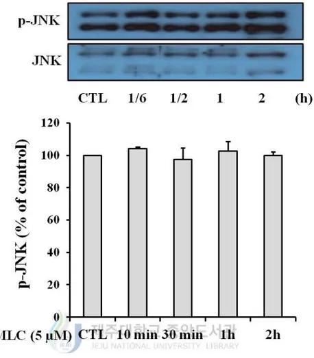 Figure 6. Effect of MLC on the phosphorylation of JNK. HT-22 cells were incubated with 