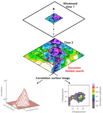 Fig. 4. Motion analysis by local-area image correlation (modified  from Chornoboy et al., 1994)