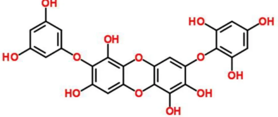 Figure 1. Chemical structure of diphlorethohydroxycarmalol (DPHC) 