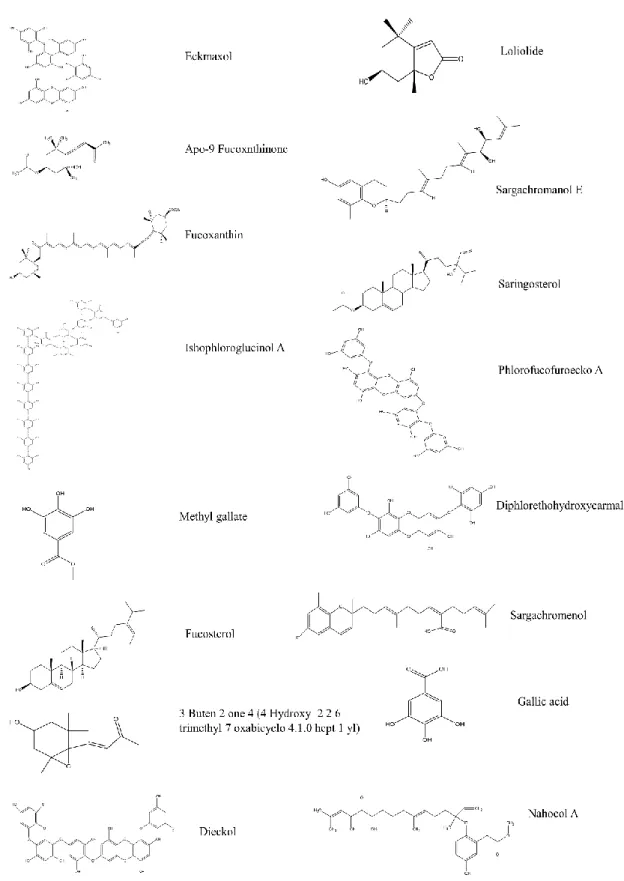 Fig. 2. Chemical structures of ligand. 