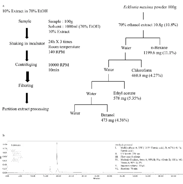 Fig. 5. a) Extraction and fractionation of Ecklonia maxima. b) High Performance Liquid 