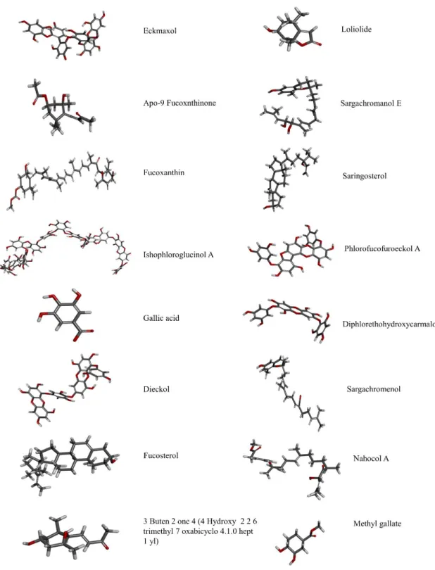 Fig. 9. Three-dimensional structures of prepared ligand using Discovery studio. 