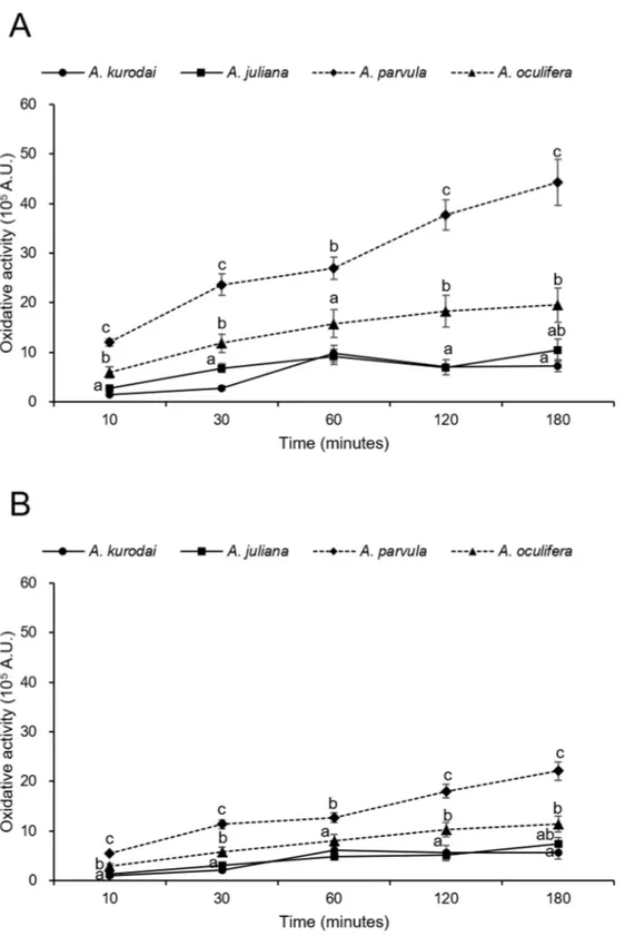 Fig. 8. Intracellular oxidative activity of (A) the granulocytes and (B) hyalinocytes of A