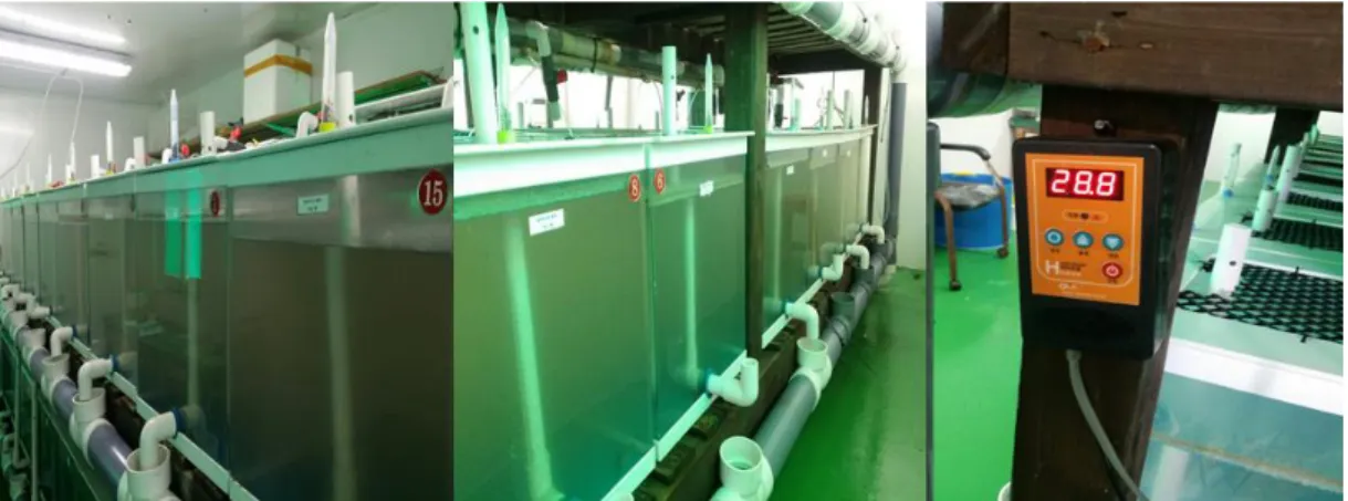 Figure 2. Experimental rearing tank for Pacific white shrimp Litopenaeus vannamei