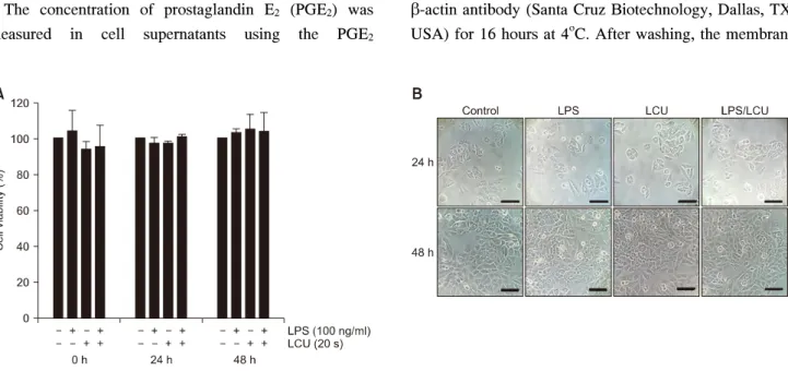 Fig.  1.  Effects  of  light-emitting  diodes  curing  unit  (LCU)  irradiation  on  cell  viability  and  morphology  of  MDPC-23  cells  and  lip- lip-opolysaccharide (LPS) stimulated MDPC-23 cells