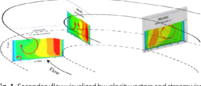 Fig. 1. Secondary flow visualized by velocity vectors and streamwise  velocity contours measured by Abad et al