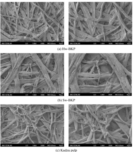 Fig. 6. Scanning electron micrograph of hansheets : (a) Sw-BKP (b) Hw-BKP (c) Kudzu pulp.