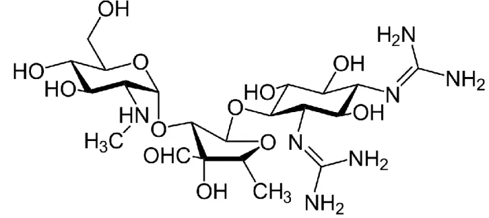 Figure 6. Structure of streptomycin 