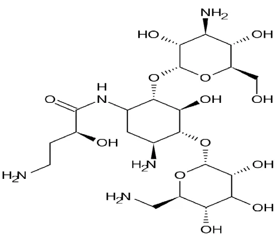 Figure 8. Structure of amikacin 