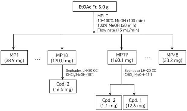 Figure  5.  Isolation  of  compounds  from  C.  yabunikkei  leaves.  (MPLC)