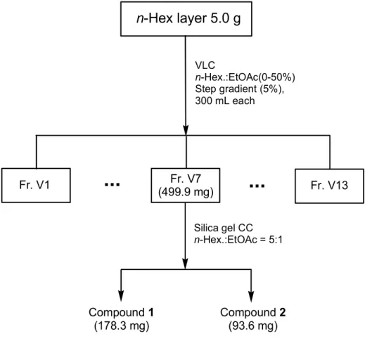 Figure  3.  Isolation  of  compounds  from  Hydrangea  petiolaris  stems.