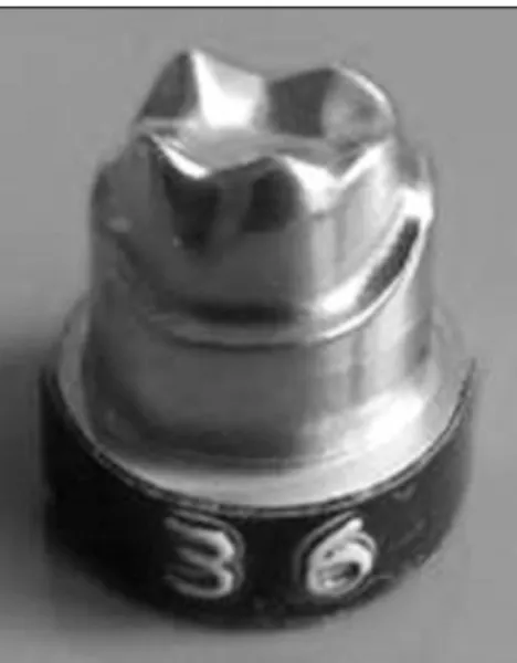 Fig.  1.  Master  model.