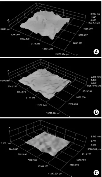 Fig.  3.  Multi-focus  images  on  the  surface  of  various  gypsum  materials. (A) Type IV group, (B) Scannable Stone 1 group, (C) Scannable  Stone  2  group.