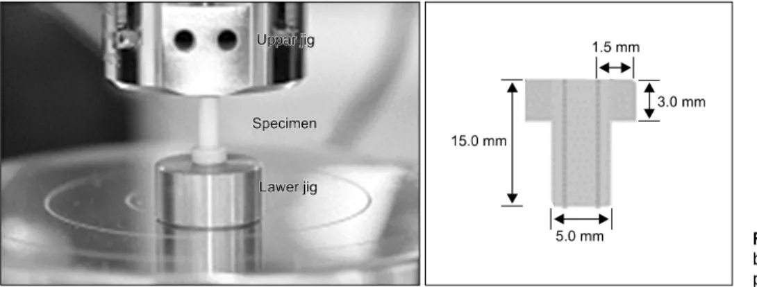 Fig.  1.  Photograph  of  push  shear  bonding  test  of  zirconia  core/ 