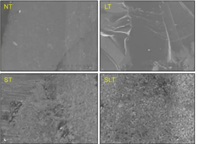 Fig.  4.  Scanning  electron  microscope  micrograph  of  specimen  after  push  shear  bonding  test  (×500)