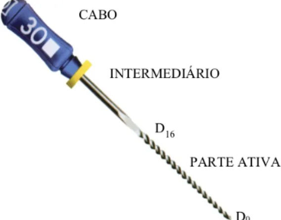 Figura 1: Partes dos Instrumentos (imagem adaptada: http://www.dentsply.com.br).