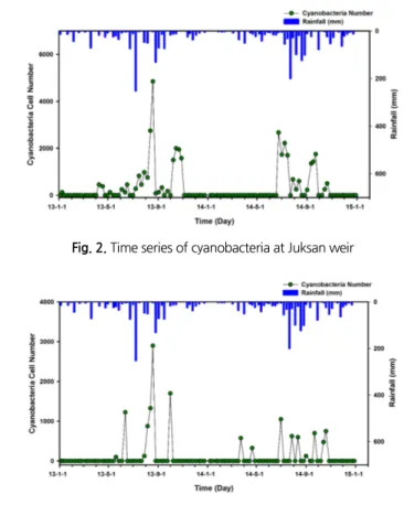 Fig. 3. Time series of cyanobacteria at Seungchon weir