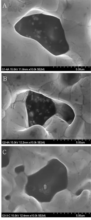 Table 5. EDS analysis results(at%) on specimens with Au coating layer and porcelain bond layer