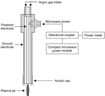 Fig. 1. Experimental lay-out of microwave plasma device system.된다9). 대부분 구강 캔디다증을 치료하기 위하여 흔히 항생제,  스테로이드나  구강  소독제를  사용하게  되는데  장기간 사용시 정상 세균총의 균형을 무너뜨려 2차 질환인 균교대증이 발병할 수 있는 위험이 있다