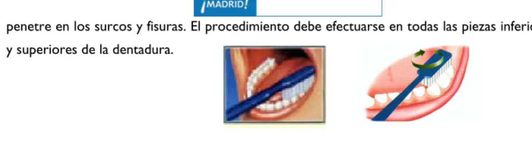Figura a  Figura b 