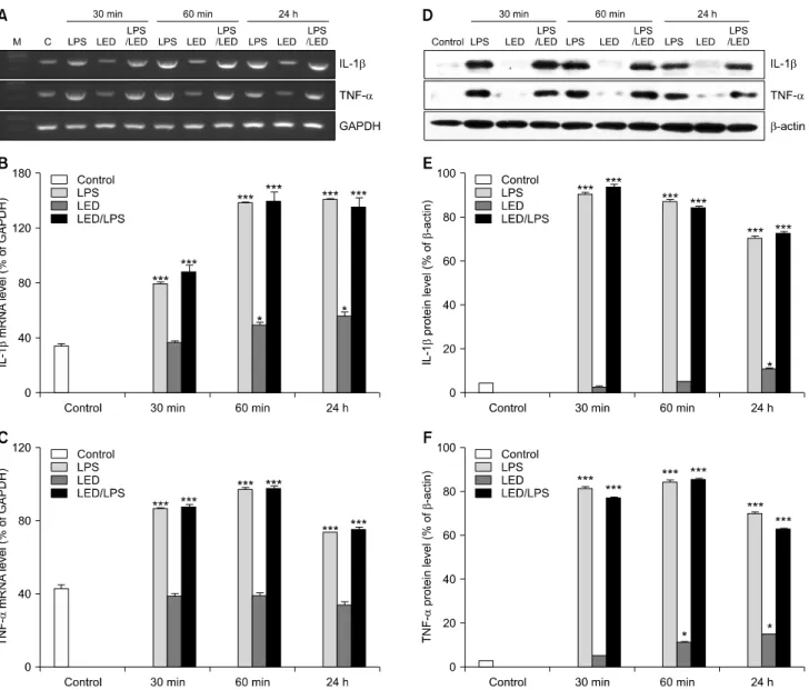 Fig. 3.  IL-1  and TNF- expression of Raw264.7 macrophages irradiated with LED curing light
