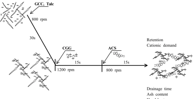 Fig. 1. Flow diagram of the experimental procedure.